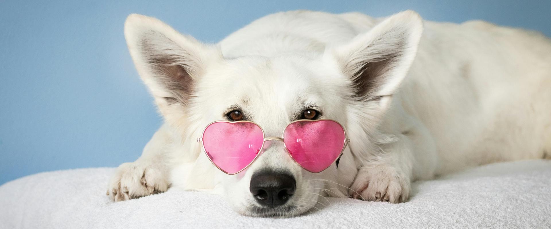 Art Hotel Commercianti болонье Art Hotel Commercianti болонье